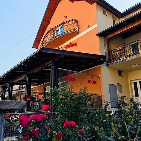 Pensiunea Montana Borsa Mm Băile Borşa المظهر الخارجي الصورة