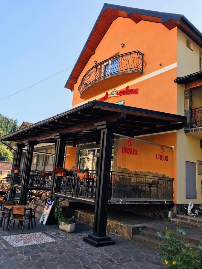 Pensiunea Montana Borsa Mm Băile Borşa المظهر الخارجي الصورة