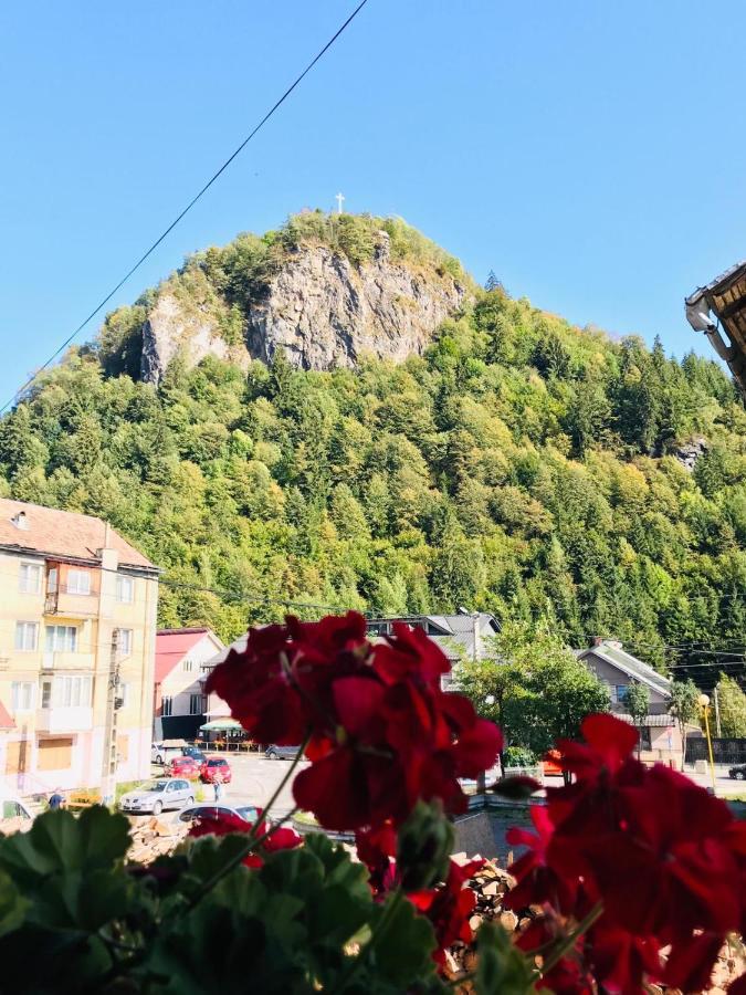 Pensiunea Montana Borsa Mm Băile Borşa المظهر الخارجي الصورة