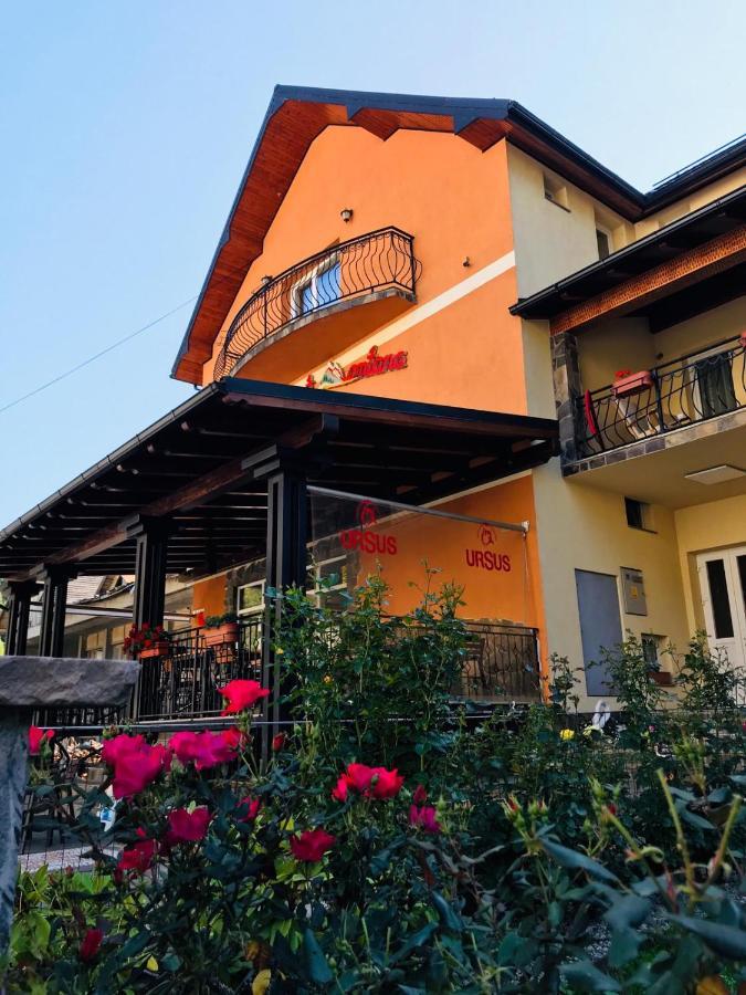 Pensiunea Montana Borsa Mm Băile Borşa المظهر الخارجي الصورة